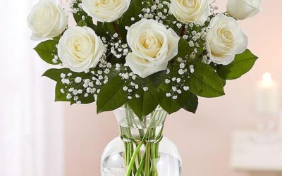 White Long Stem Roses