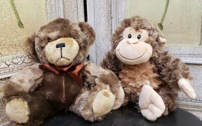 Teddy Bear or Monkey