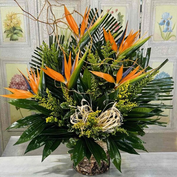 Free Bird , birds of paradise, solidago, cocculus and variegated pittisporrum  in a natural birch wrapped glass vase.    